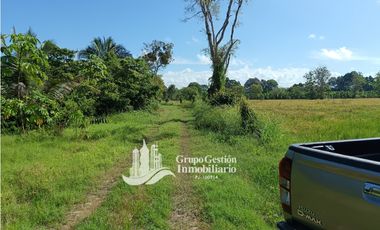 VENDO 19.7 Hectareas  en Berba, cerca de Puerto Armuelles