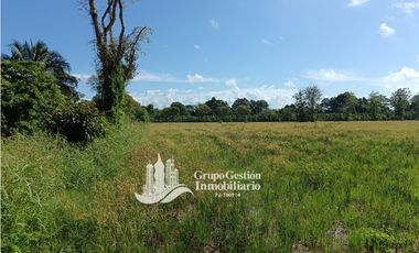 VENDO 19.7 Hectareas  en Berba, cerca de Puerto Armuelles