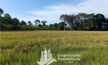 VENDO 19.7 Hectareas  en Berba, cerca de Puerto Armuelles