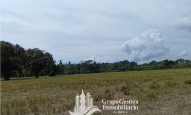 Venta finca 30 hectareas Palmar Puerto Armuelles