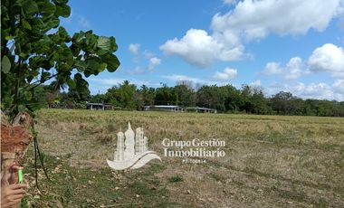 Venta finca 30 hectareas Palmar Puerto Armuelles