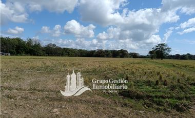 Venta finca 30 hectareas Palmar Puerto Armuelles