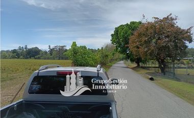 Venta finca 30 hectareas Palmar Puerto Armuelles
