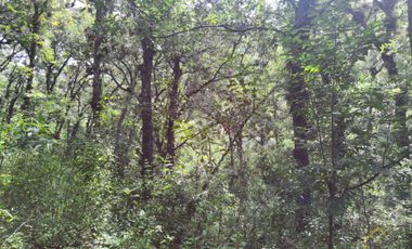 Terreno en venta en Coacoatintla Veracruz KM 9 con produccion de piedra