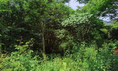 Terreno en venta en Coacoatintla Veracruz KM 9 con produccion de piedra