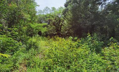 Terreno en venta en Coacoatintla Veracruz KM 9 con produccion de piedra