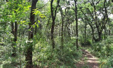 Terreno en venta en Coacoatintla Veracruz KM 9 con produccion de piedra