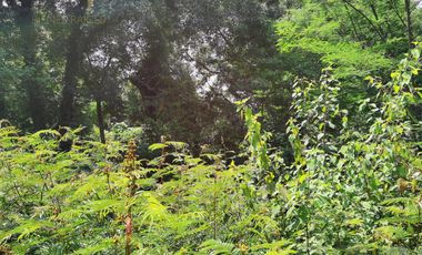 Terreno en venta en Coacoatintla Veracruz KM 9 con produccion de piedra