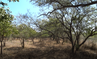 QUINTA EN VENTA BOSQUES DE LA SILLA