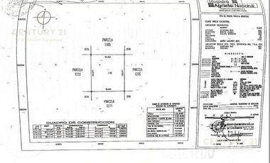Venta terreno de 1 ha en Puerto Morelos  P3943
