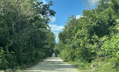 Venta terreno de 1 ha en Puerto Morelos  P3943
