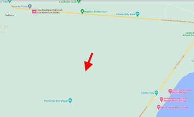 Venta terreno de 1 ha en Puerto Morelos  P3943