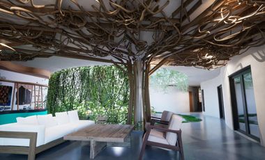 Venta Departamento La Veleta con Cenote artificial !