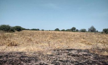TERRENO EN LA D ( Pedro Escobedo)