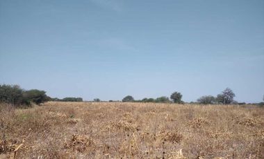 TERRENO EN LA D ( Pedro Escobedo)