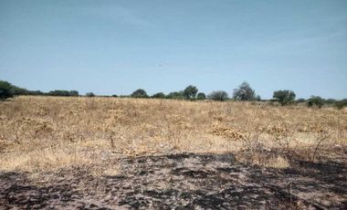 TERRENO EN LA D ( Pedro Escobedo)