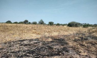 TERRENO EN LA D ( Pedro Escobedo)