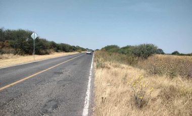 TERRENO EN LA D ( Pedro Escobedo)