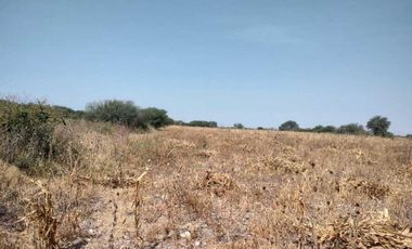 TERRENO EN LA D ( Pedro Escobedo)