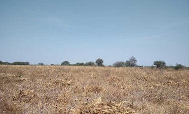 TERRENO EN LA D ( Pedro Escobedo)
