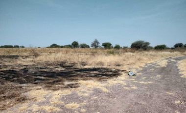 TERRENO EN LA D ( Pedro Escobedo)