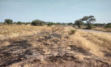 TERRENO EN LA D ( Pedro Escobedo)