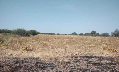 TERRENO EN LA D ( Pedro Escobedo)