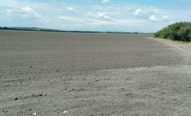 VENTA DE RANCHO PARA CULTIVO EN LA MORITA TAMAULIPAS