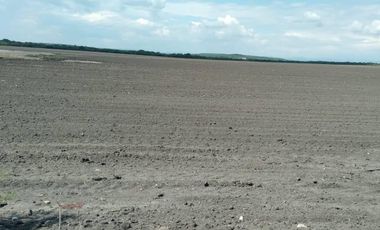 VENTA DE RANCHO PARA CULTIVO EN LA MORITA TAMAULIPAS