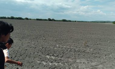 VENTA DE RANCHO PARA CULTIVO EN LA MORITA TAMAULIPAS