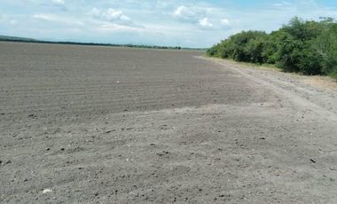 VENTA DE RANCHO PARA CULTIVO EN LA MORITA TAMAULIPAS