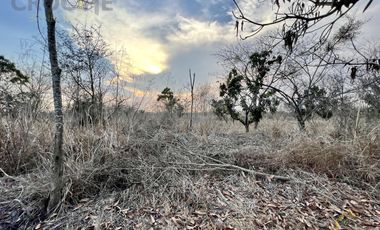 Terreno en venta en Tamarindo Veracruz sobre carretera frente al retén.
