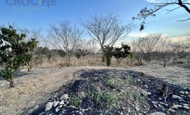 Terreno en venta en Tamarindo Veracruz sobre carretera frente al retén.