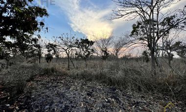 Terreno en venta en Tamarindo Veracruz sobre carretera frente al retén.