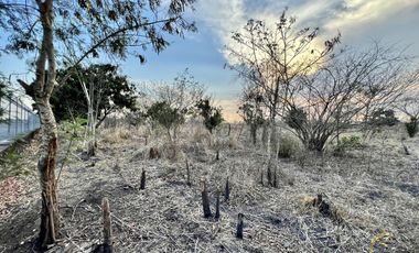 Terreno en venta en Tamarindo Veracruz sobre carretera frente al retén.