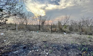 Terreno en venta en Tamarindo Veracruz sobre carretera frente al retén.