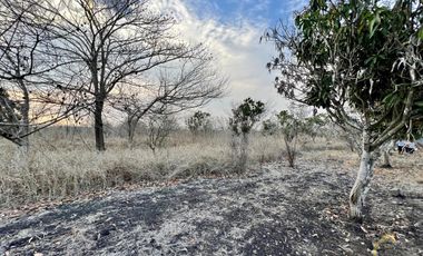 Terreno en venta en Tamarindo Veracruz sobre carretera frente al retén.