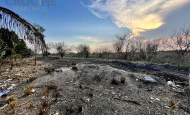 Terreno en venta en Tamarindo Veracruz sobre carretera frente al retén.