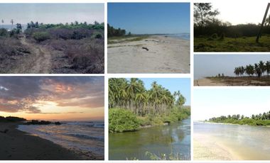 Gran terreno de 31.4 Ha con frente de playa a la venta en Joluta Guerrero.