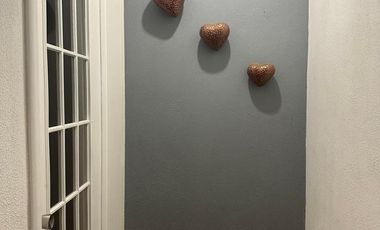 CasaRENTA CASA AMUEBLADA EN RINCON DEL CIELO NUEVO VALLARTA en