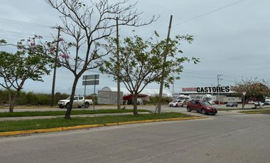 Terreno en  Renta Av. Universildad Lote 14A, Parque Tecnológico Puerto México. Coatzacoalcos, Ver.