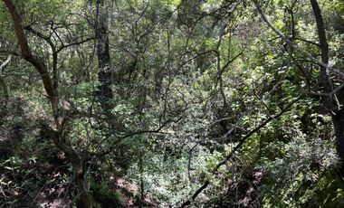 Terreno - Ex-hacienda Jajalpa