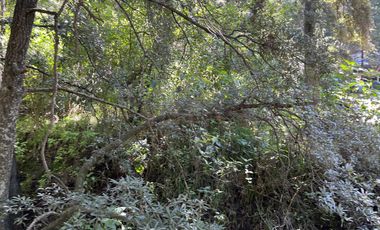 Terreno - Ex-hacienda Jajalpa