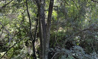 Terreno - Ex-hacienda Jajalpa