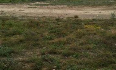 TERRENO EN RENTA/VENTA EN PESQUERÍA, N. L.