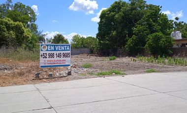 TERRENO EN VENTA EN PANUCO VERACRUZ