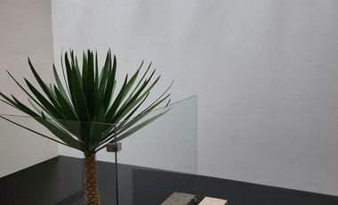 Casa en Venta Altozano Fraccionamiento privado