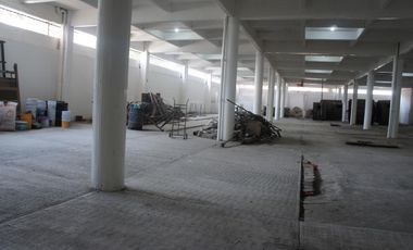 Bodega Industrial o Comercial, Toluca Centro
