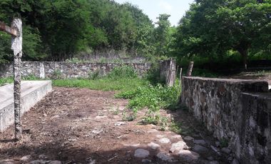 PASO DE OVEJAS, Rancho en VENTA de 80 Hectáreas!