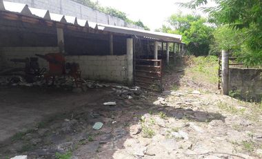 PASO DE OVEJAS, Rancho en VENTA de 80 Hectáreas!